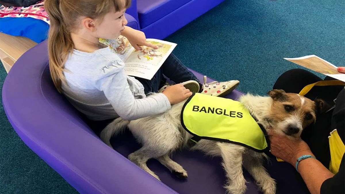 Love the idea of these dog reading volunteers. What a wonderful way of helping children love books. From <a href="/Booktrust/">BookTrust</a> bit.ly/2hPdyAQ