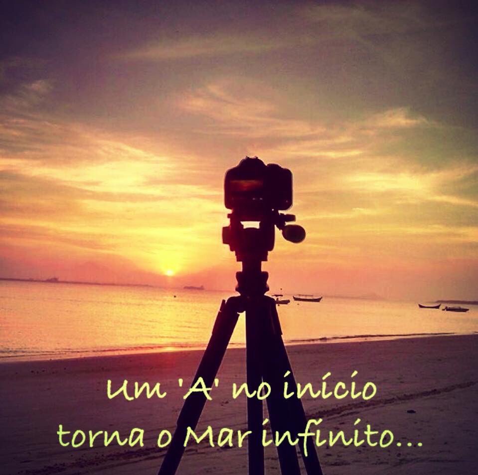 atcoimbra's tweet photo. @stellamano32 Oiii, tudo tranquilo minha querida, caminhando... Que você tenha uma semana de muitas alegrias!!! 😊💐🙋🏼 https://t.co/RcaxE7kFgd