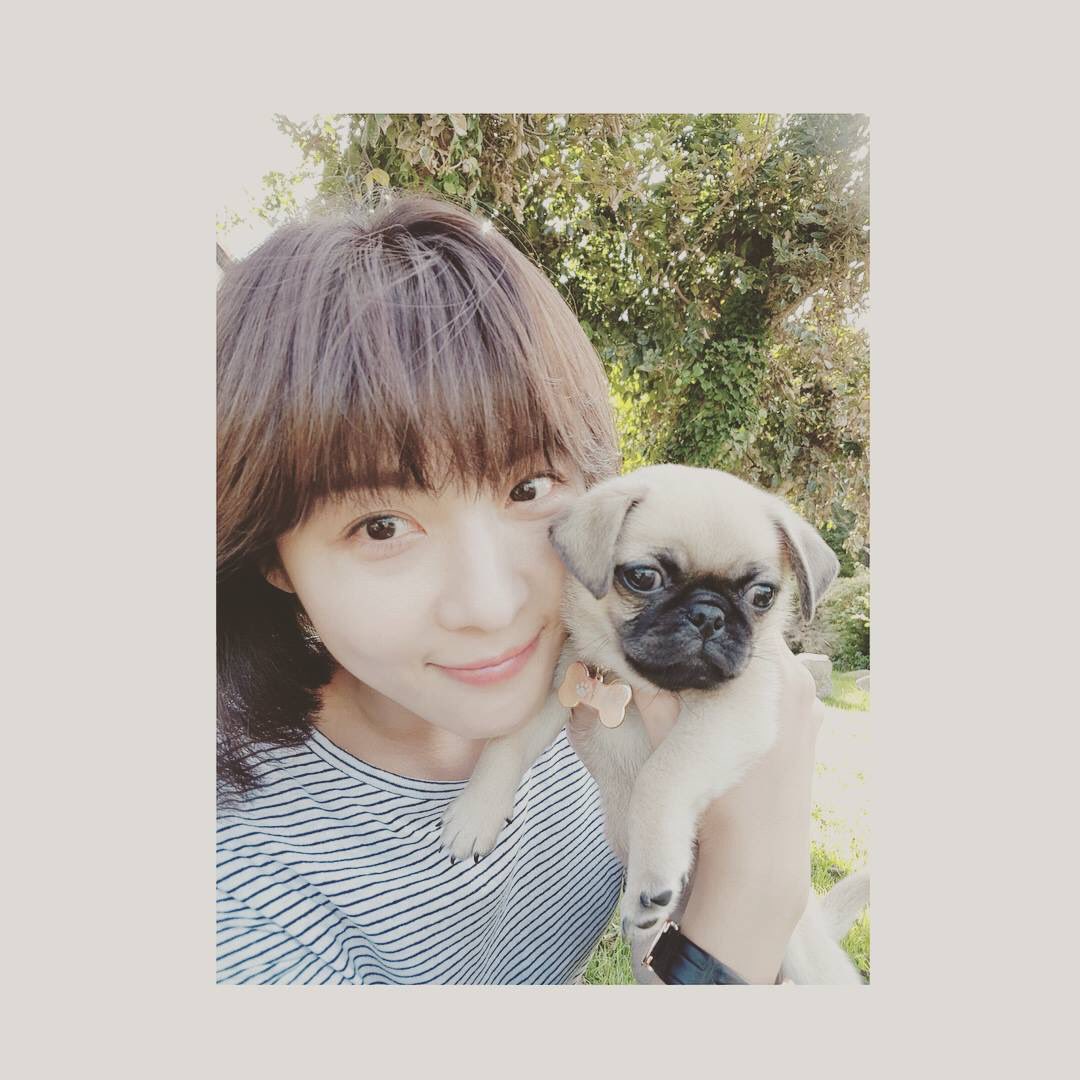 DLswGO3UIAQ1tXW.jpg:large