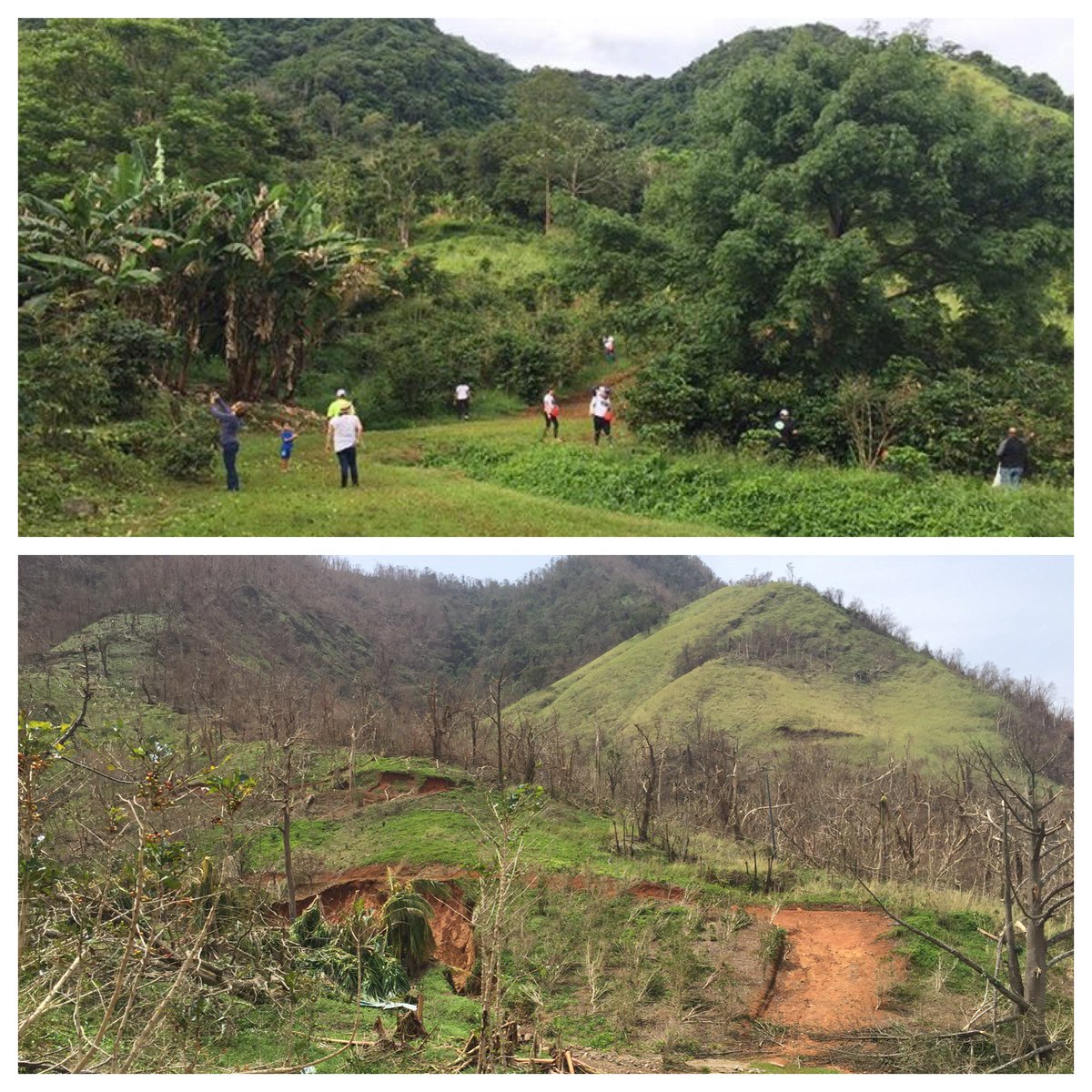 Specialty Coffee Association tweet media