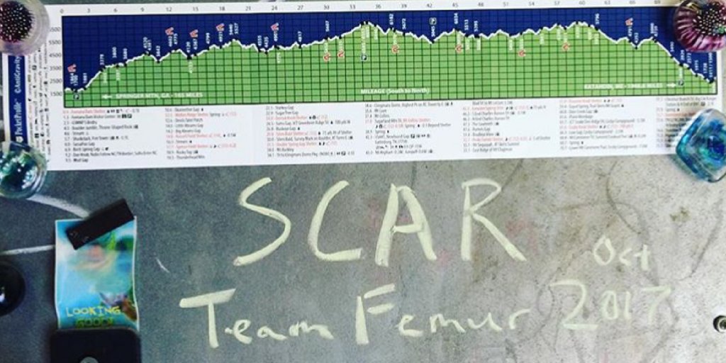 Follow Cal’s creative process on Instagram under @calbreedartist as he takes on 70 miles of The Great Smoky Mountains. #Running