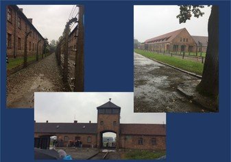 OLHSCumbernauld's tweet photo. #LessonsFromAuschwitzProject https://t.co/m7WwILDaBh