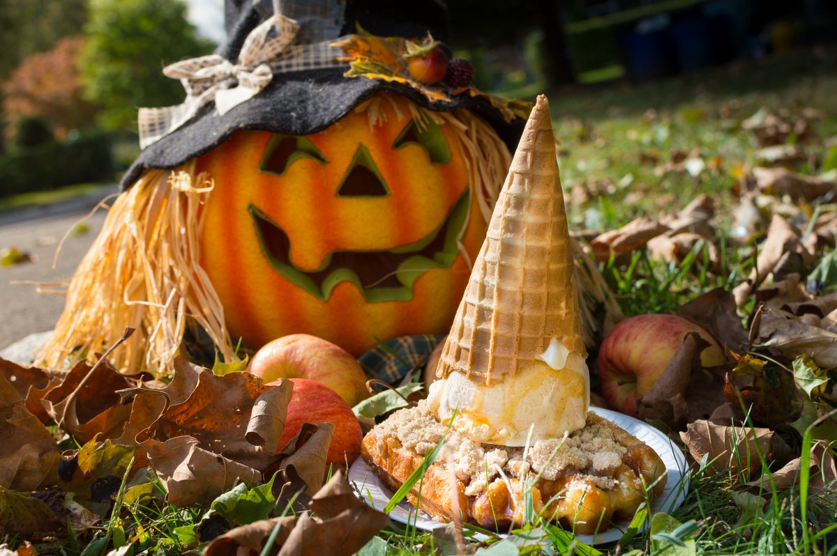 liegewaffleco's tweet photo. The Unicone's basic cousin is here the Pumpkone 😎🦄😎 #unicorn https://t.co/Z8kdtPzT2B