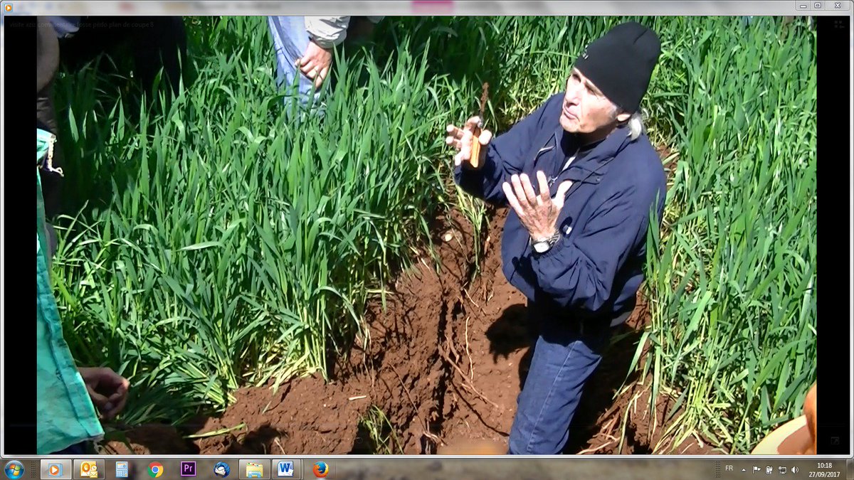 TerredeTouraine's tweet photo. Etat des sols agricoles français? L'agronome Lucien Séguy donne sa version de l' #agroécologie
https://t.co/KjM2EdDA3N #seguy #glyphosate https://t.co/9yA9jUpvrA