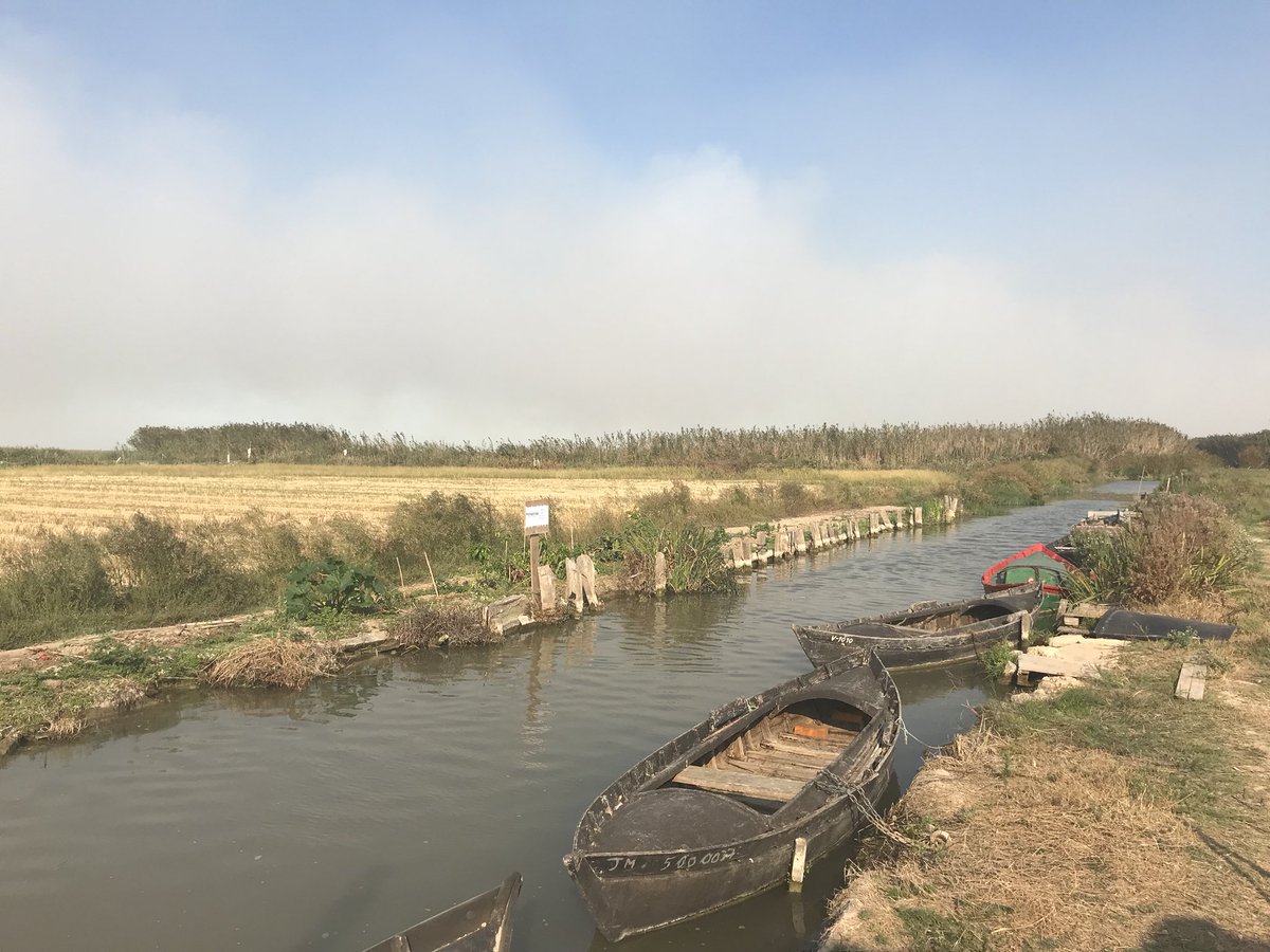 JuliaAlonso's tweet photo. Lujos de mi trabajo. Visitar la#albufera de #valencia y comer una paella del Tío Vicent. Gracias #edutorres 🔝🔝 #preciosopaisaje https://t.co/9nbrBph56J