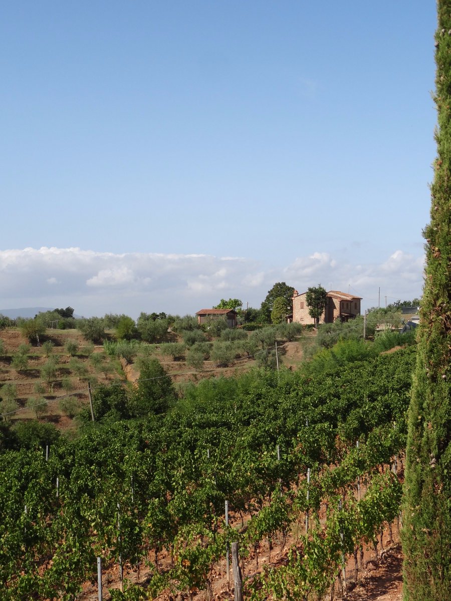 italiaslowtour's tweet photo. New #video UP! Follow #italiaslowtour' ambassadors in a #biketour around #MontecatiniTerme. That's #Tuscany!
Day 1 → https://t.co/HPKUP6Wefa https://t.co/aP9xsaKDVm