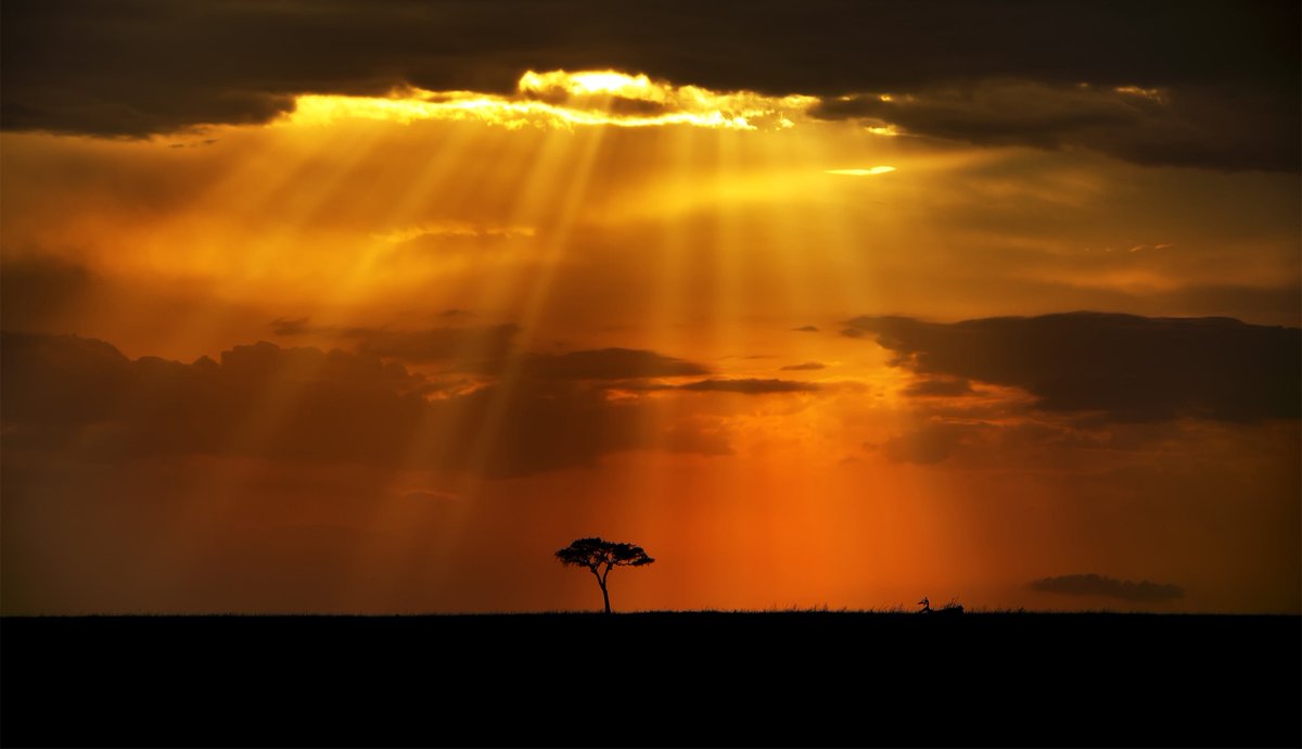 VC0712's tweet image. Trust is a divine endowment, that is inherently within and not dependent on anything outside. 

#VCSpeak #Wisdom