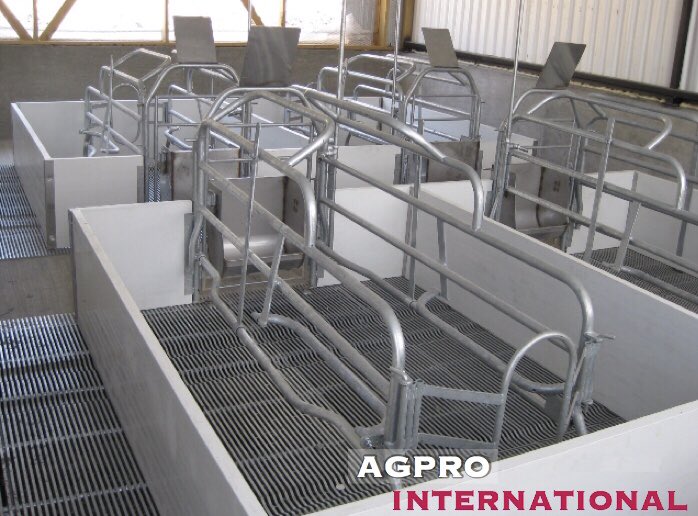 Agpro_Int's tweet image. Farrowing crate with back &amp;amp; front doors.

Jaula paridera con puertas trasera y delantera en la jaula.