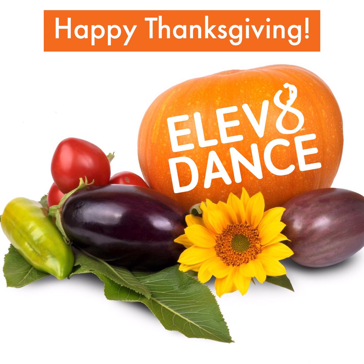elev8danceinc's tweet photo. Wishing all of our dancers a wonderful Thanksgiving. Enjoy your holiday and we will see you for regular classes tomorrow. https://t.co/RuWW4RMDRJ