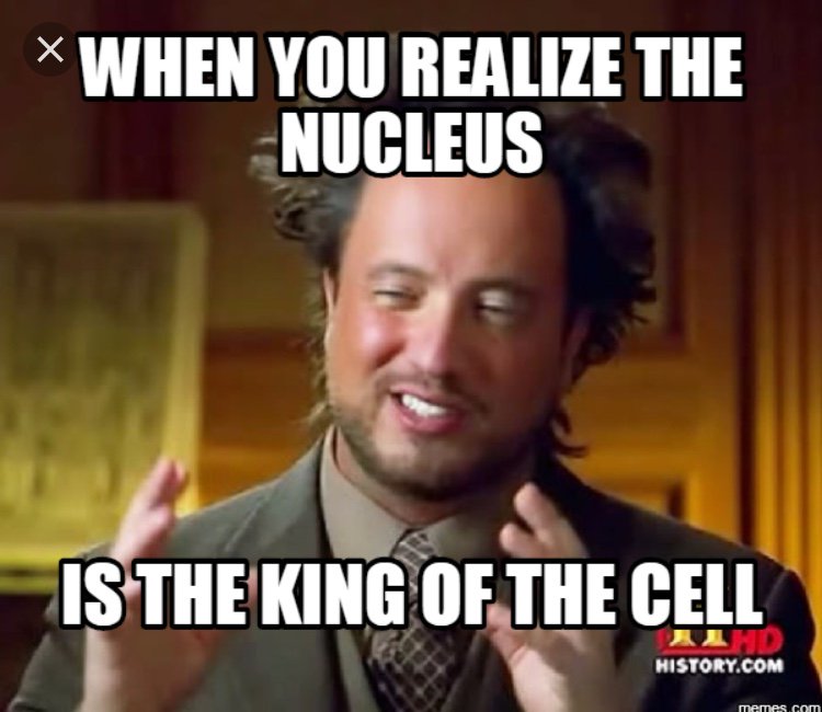 Nucleus87772877's tweet photo. Yeah I know. I’m the best💁🏼💁🏼🤴🏼🤴🏼🤴🏼👸🏼👸🏼👸🏼 https://t.co/TYMLxh83I9