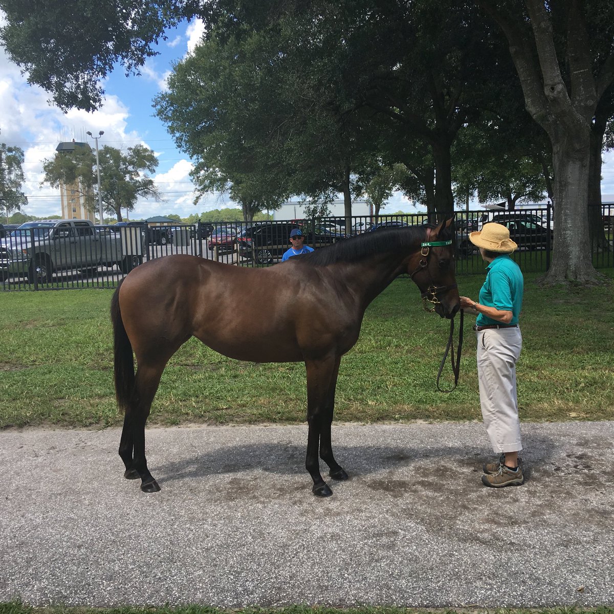 fawkesracinginc's tweet photo. Team Fawkes hard at work @OBSSales #FLBreds https://t.co/Plyl8WvJ2a