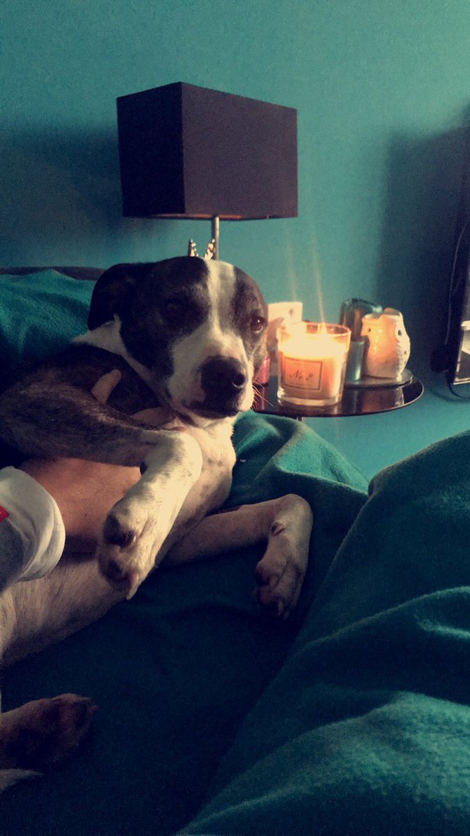 zaradelish's tweet photo. Mondays at Home ☺️ https://t.co/xTyoWGUSy1