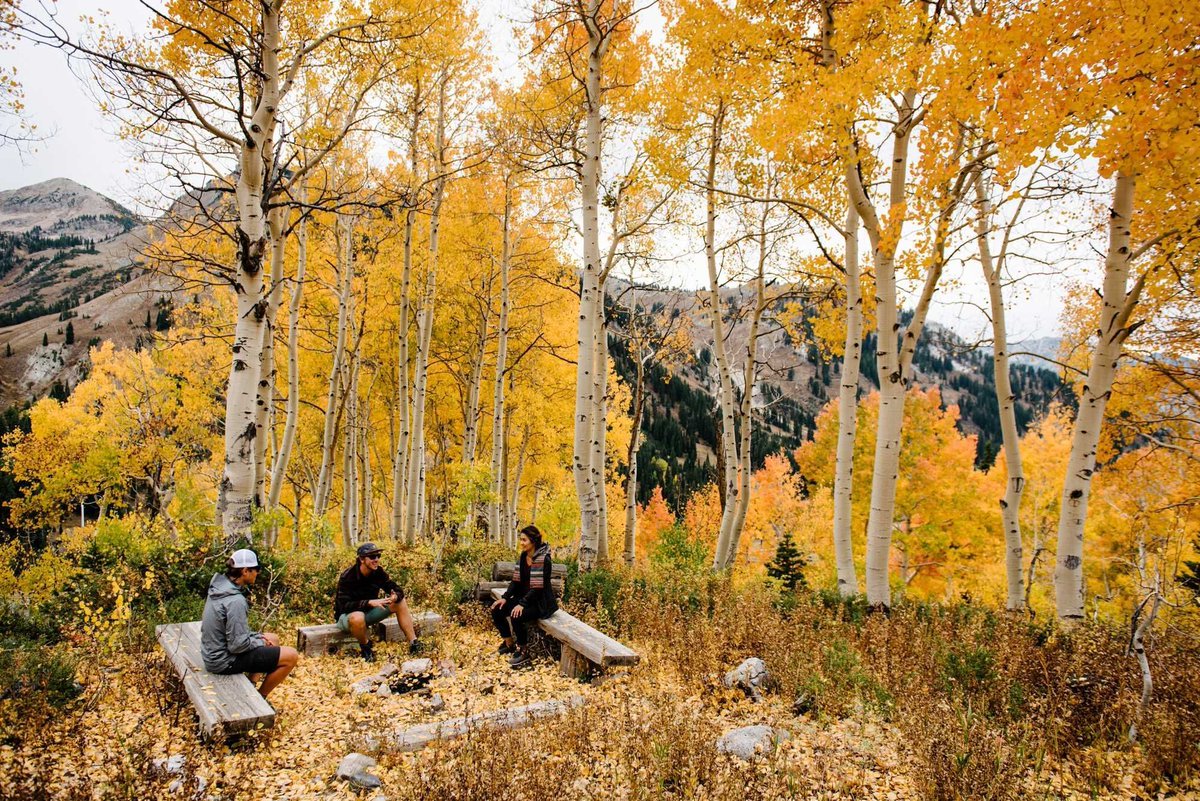 VisitCedarCity's tweet photo. 8 Utah Hikes for Leaf Peeping and Natural Splendor: https://t.co/F5lqxcrZBK @VisitUtah #FallColorReport #VisitCedarCity https://t.co/1hxjhTnfzq