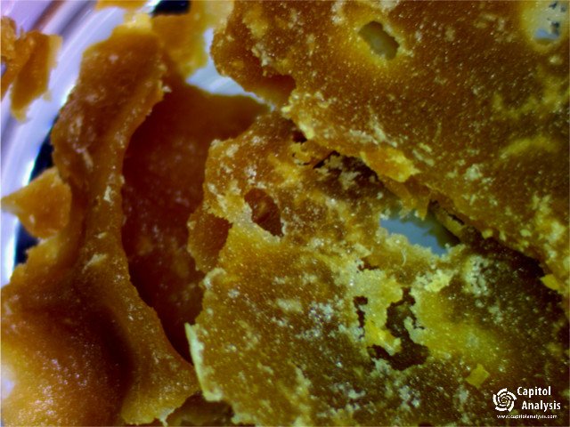 capitolanalysis's tweet photo. #mountainhi #mtrainierkush #drwho #capitolanalysis #cannabisindustry #cannabis #marijuana #weed https://t.co/JdcpONfcW4
