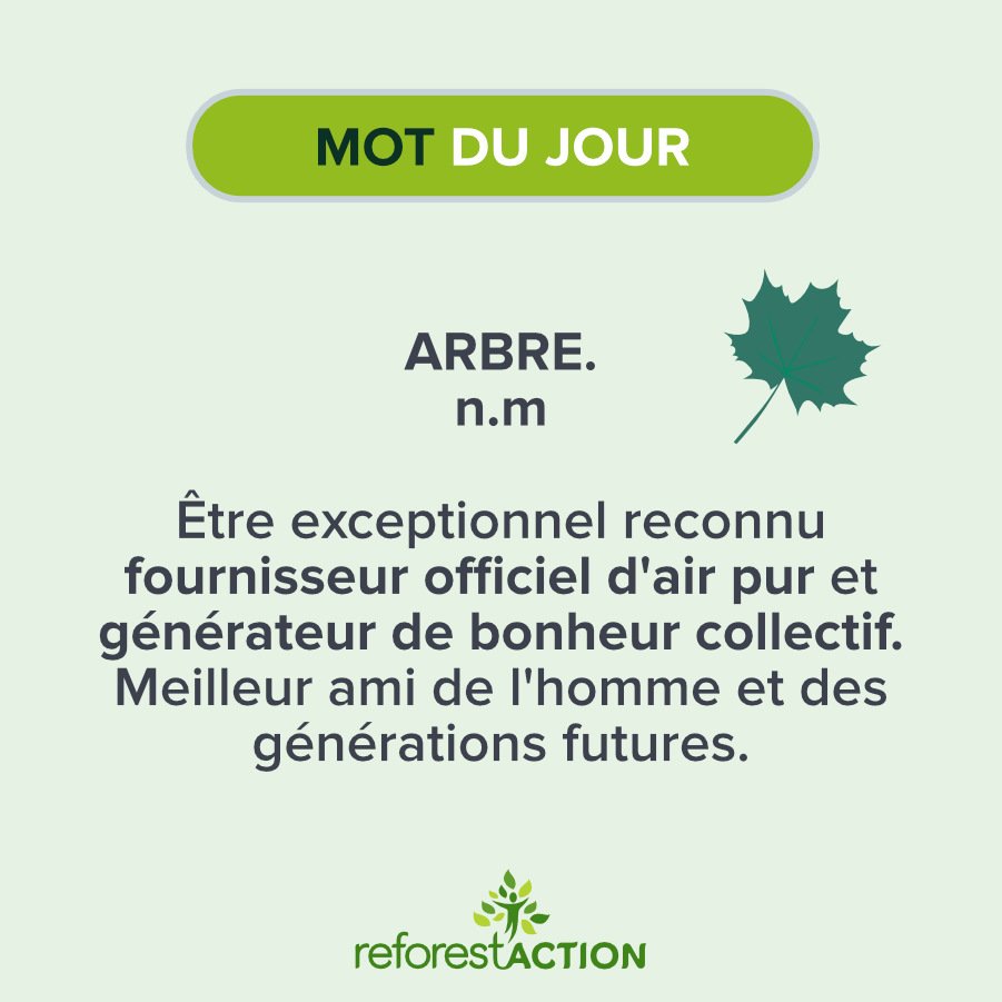 reforestaction's tweet photo. Retweetez si vous trouvez aussi que c'est le plus joli mot de la langue française 😍 #VendrediLecture https://t.co/hhh7ZSINna