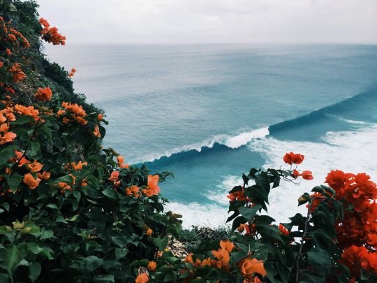 Nature_Exposed tweet picture