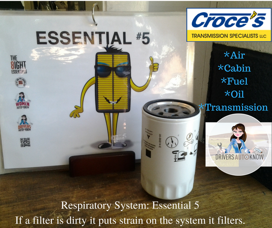 CrocesTrans's tweet photo. Your vehicle has a Respiratory System just like you! Every breath counts #DAK #WAK #AutoAwareness https://t.co/Kb5G9OcekB