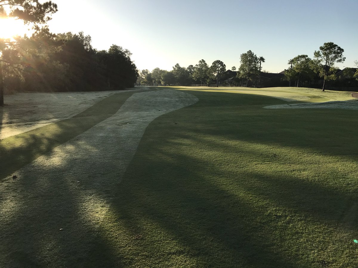 BZturf's tweet photo. 14oz/acre Primo seems to be ticket on our celebration fairways. Last mow 7 days ago. #lighttrim https://t.co/ZgynOjzOFE