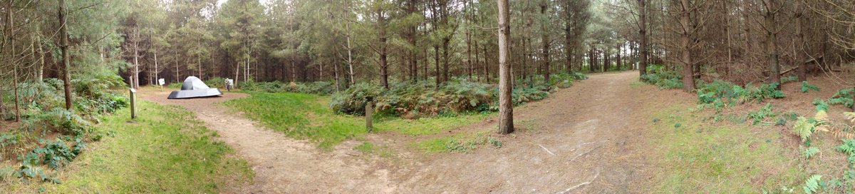 beastiebites88's tweet photo. Rendlesham forest UFO landing site https://t.co/Y2JkWveM14