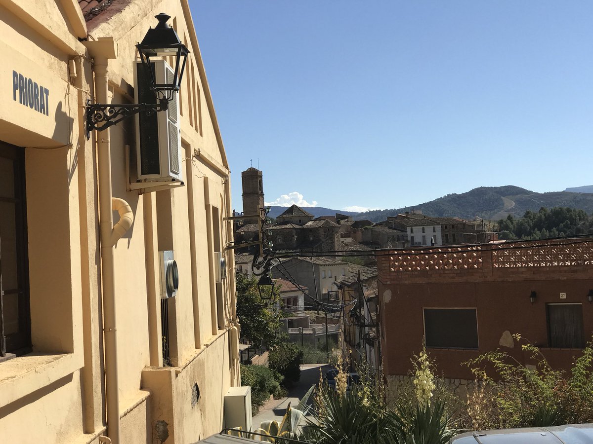 Hoy hemos vendimiado la qué será nuestra Garnatxa del Po 2017, una uva sana y vigorosa. 🍇 . #garnatxadelpo #Priorat #wine #Garnatxadelpo2017