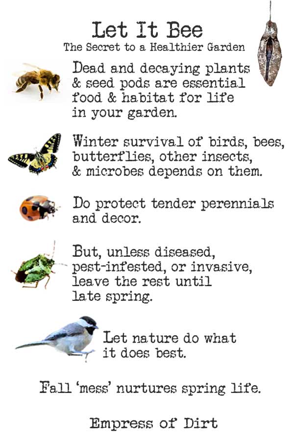 Are you in the Let it Bee revolution? Leave the fall garden 'mess' for a healthier habitat. empressofdirt.net/fall-gardening… #gardenchat
