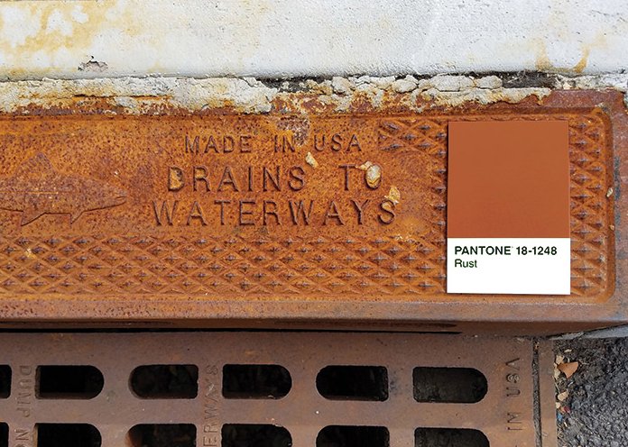 Autumn in NYC: #Pantone 18-1248 #matchmonday #colorlove