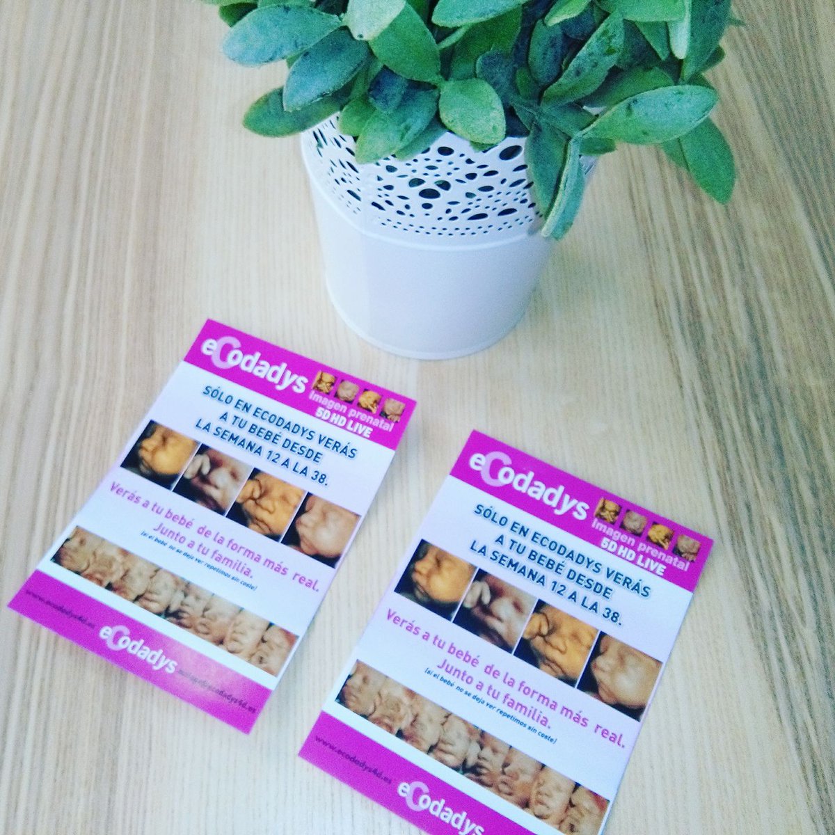 ClubCoccole's tweet photo. ¿Tienes tu pollito en el cascarón? Si eres del Club tendrás un súper descuento en @Ecodadys para ver a tu pollito en 5D ¿A que mola? https://t.co/ColxIVBx2f