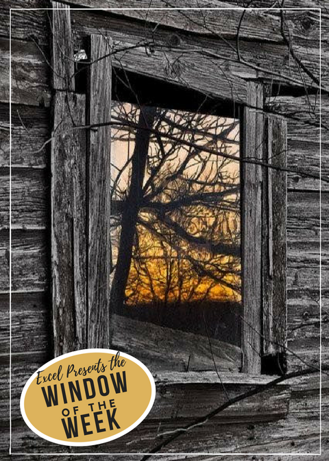 ExcelWindowsIL's tweet photo. #windowoftheweek https://t.co/oyWhsflP9a