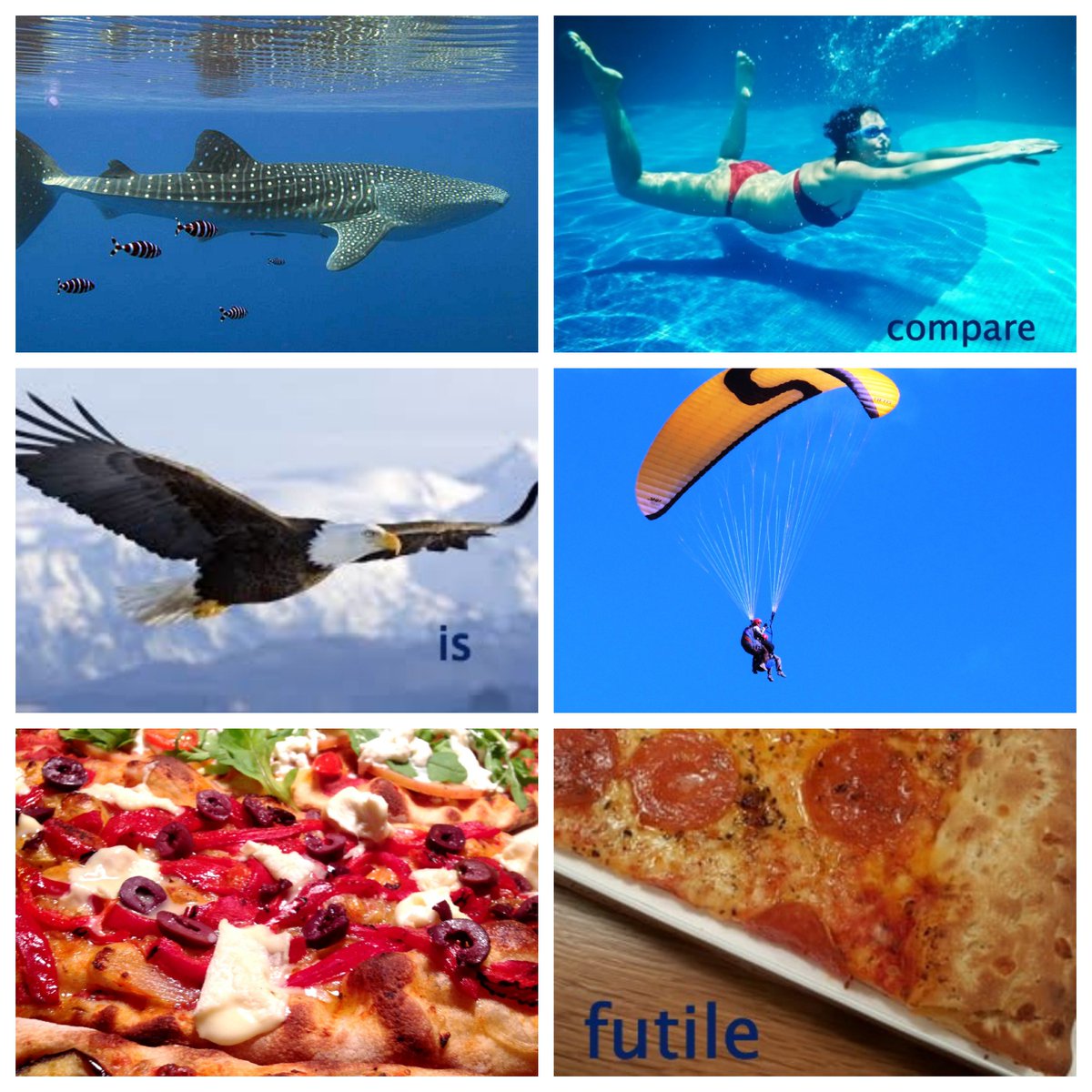 006 PizzA tweet media
