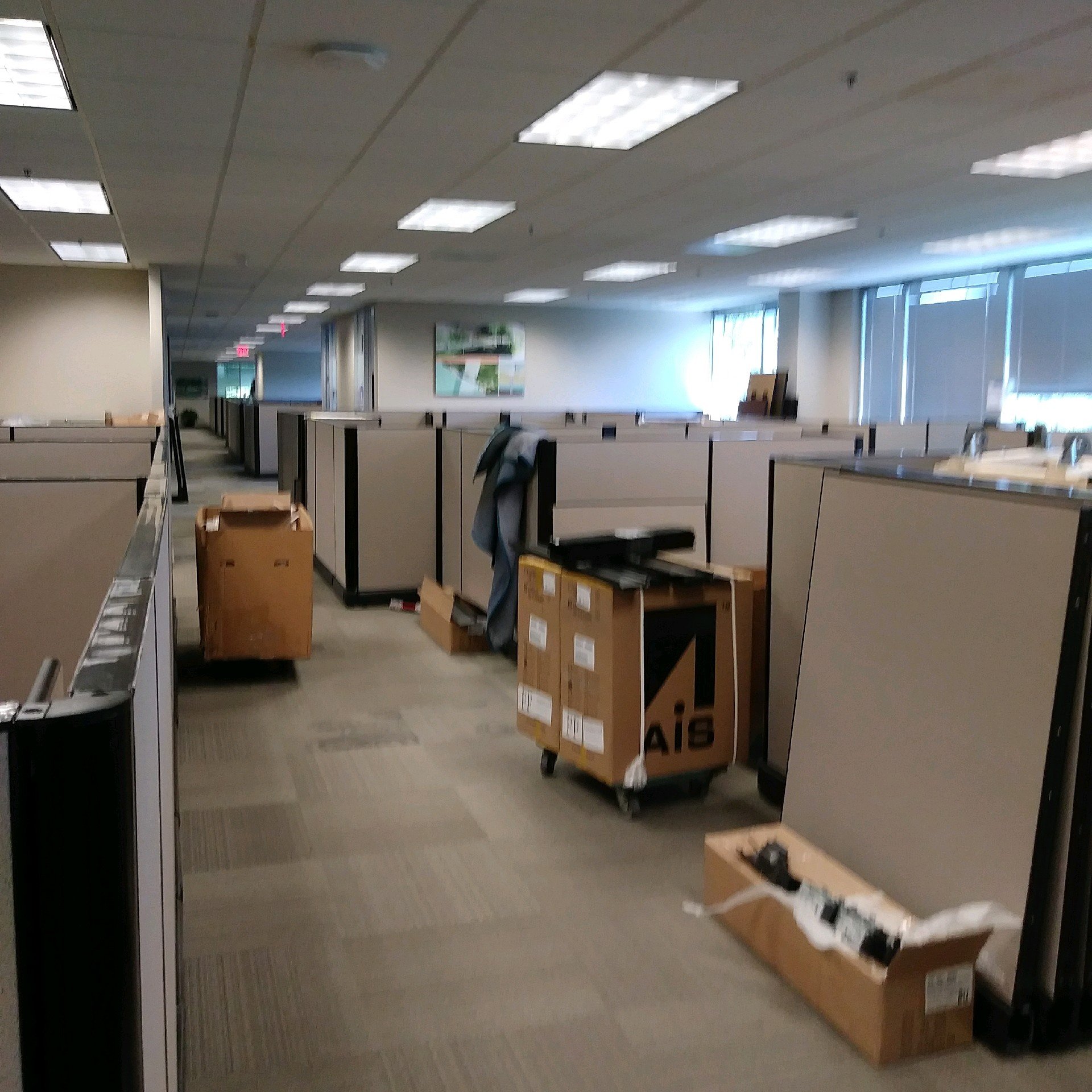 Pony Up Moving (PonyUpMoving) / Twitter