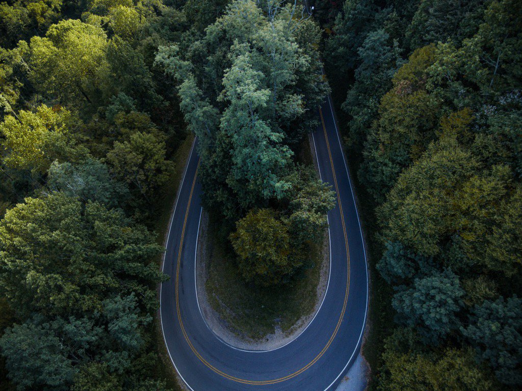 KarcherImagery's tweet photo. Just around the bend 🌳 https://t.co/ZoDsYjAAi0