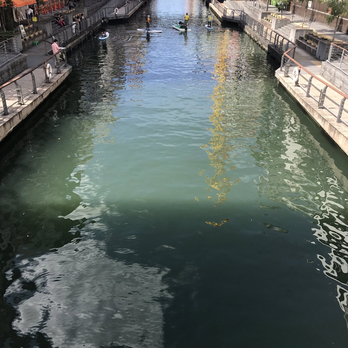 ディカぷりお こんな汚い川で まさかのサップ 笑 道頓堀川でしちゃうって 海外で流行ってるサップ 普通は4枚目みたいな綺麗な海で するオシャレな アクティビティのはず 本当関西人の悪い癖 とりあえず流行りに乗ったらええと ディカぷりお こんな汚い川で まさかのサップ 笑 道頓堀川でしちゃうって 海外で流行ってるサップ 普通は4枚目みたいな綺麗な海で するオシャレな アクティビティのはず 本当関西人の悪い癖 とりあえず流行りに乗ったらええと