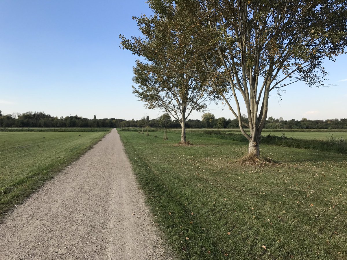 SergioSangio's tweet photo. Splendida giornata per #correre al #parcodellecave ma questa tendinite non vuole mollare ogni sgambata una sofferenza #runproblems #runners https://t.co/0CpAEeAppQ