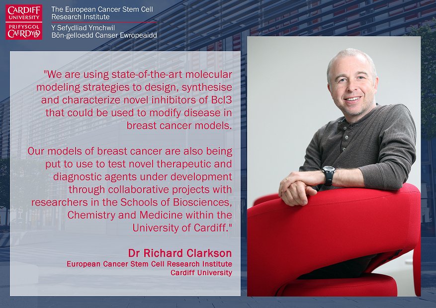 ECSCRI's tweet image. One of our research themes looks into the role of cancer stem cells in breast cancer.

#BreastCancerAwarenessMonth

cardiff.ac.uk/people/view/81…