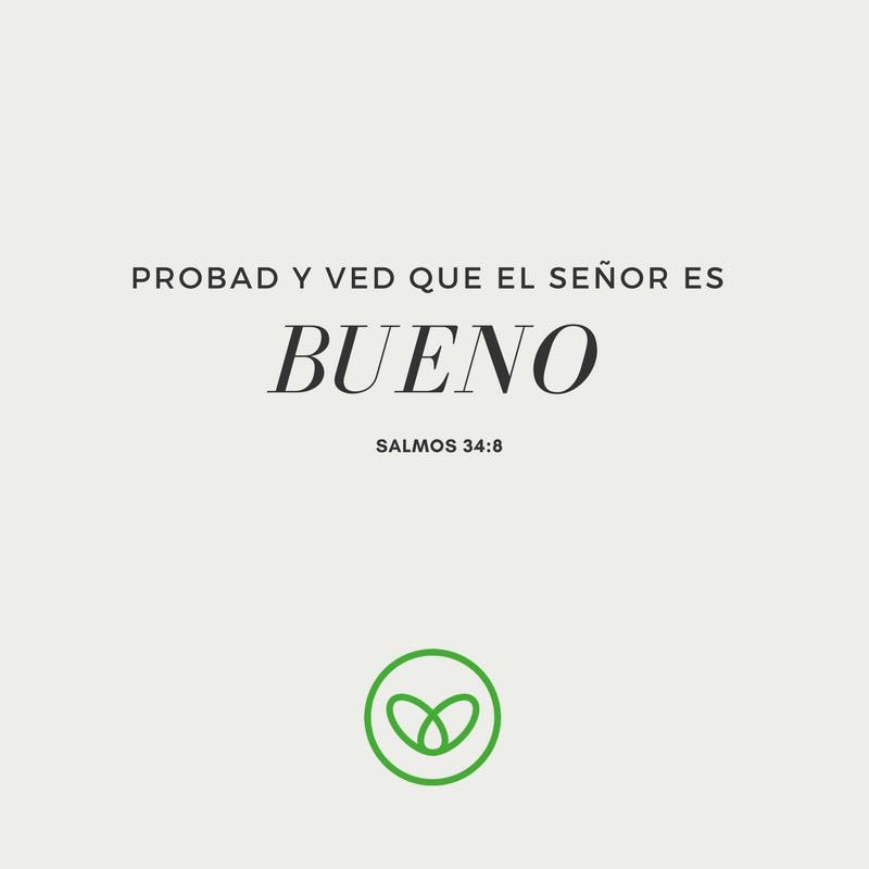SmirnaCoatepec's tweet photo. Dios es bueno #VersículoSmirna #LikeComparte https://t.co/wIkbD71KZZ