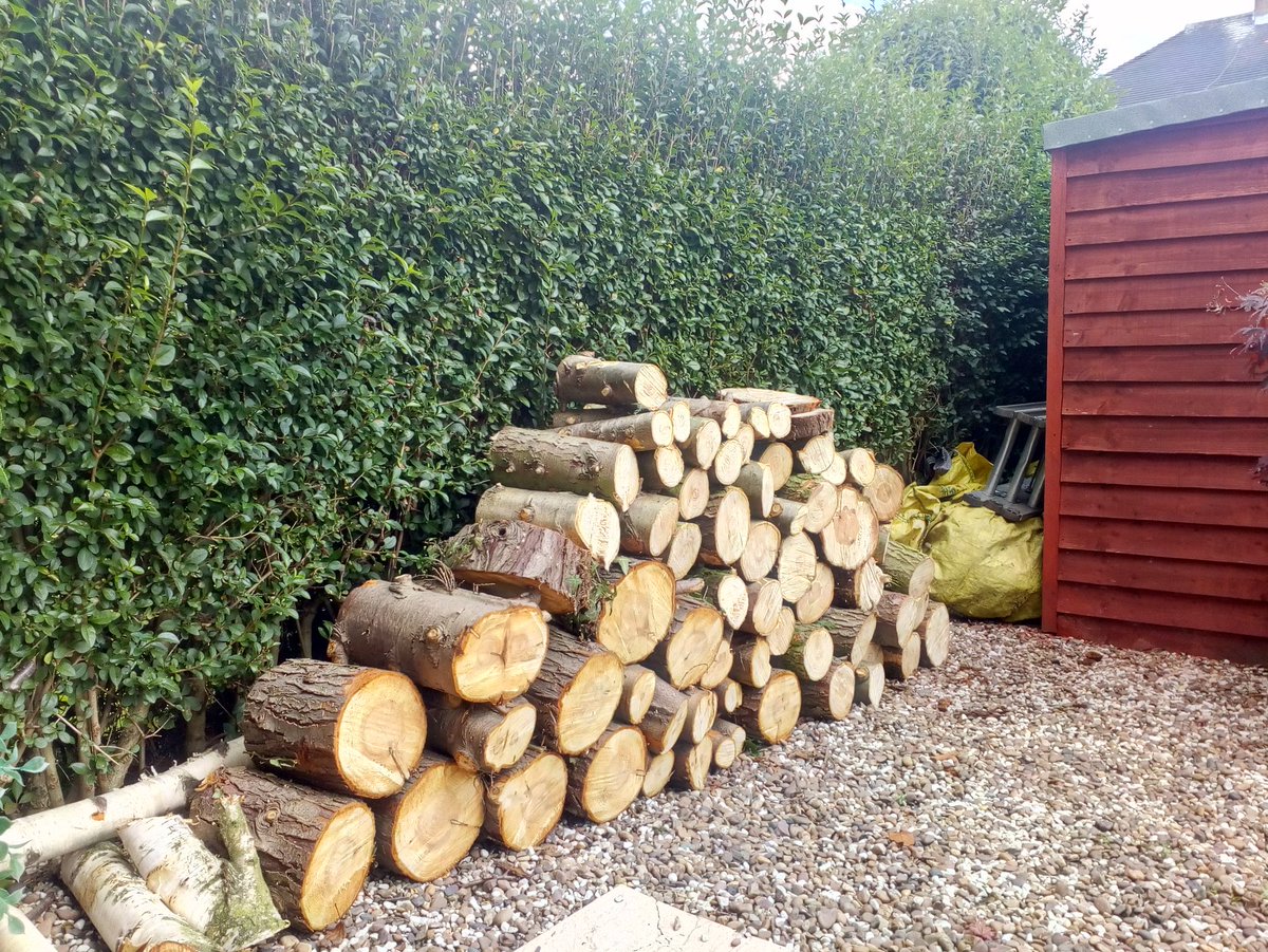 Tidy_Trees's tweet photo. Felling 2 small Conifers in #WestBridgford #Nottingham #Tidytrees #nottinghamtreesurgeon https://t.co/pLkOu8KKno