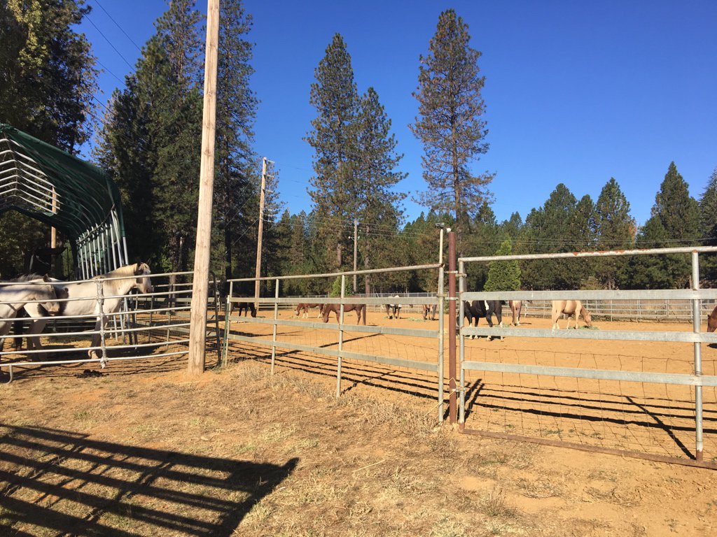 RadioSpencer's tweet image. #California burning and idiots giving sports news. This is BAD. #fires #evacuationcenter #GrassValley