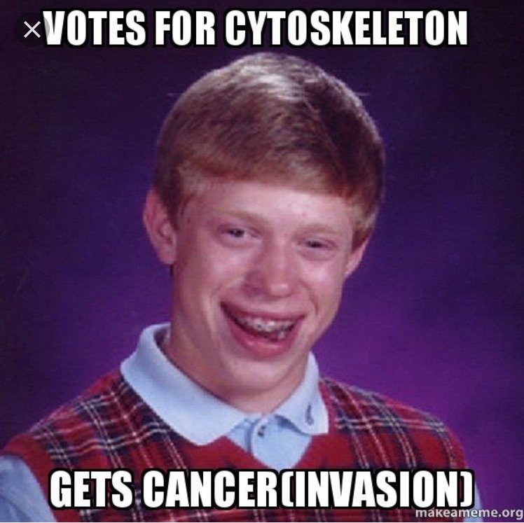 Nucleus87772877's tweet photo. #organellewarsolu @allshookupbybio https://t.co/3YxM96E0Tz