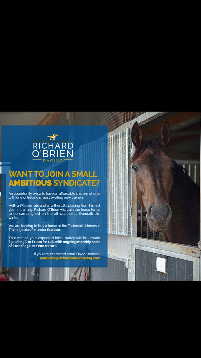 RJOBracing's tweet photo. Please have a look and consider. RTs appreciated. October horses in training sale coming up. https://t.co/M1zXy3Z1UZ