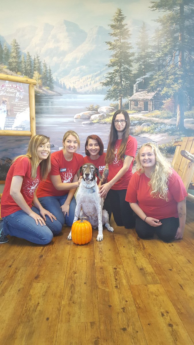 CampBowWowSC's tweet image. #campbowwow #sanclemente #adoptme #orangecounty #dogs #dogslife #dogtweets #October #Pumpkin #jackolantern #Halloween