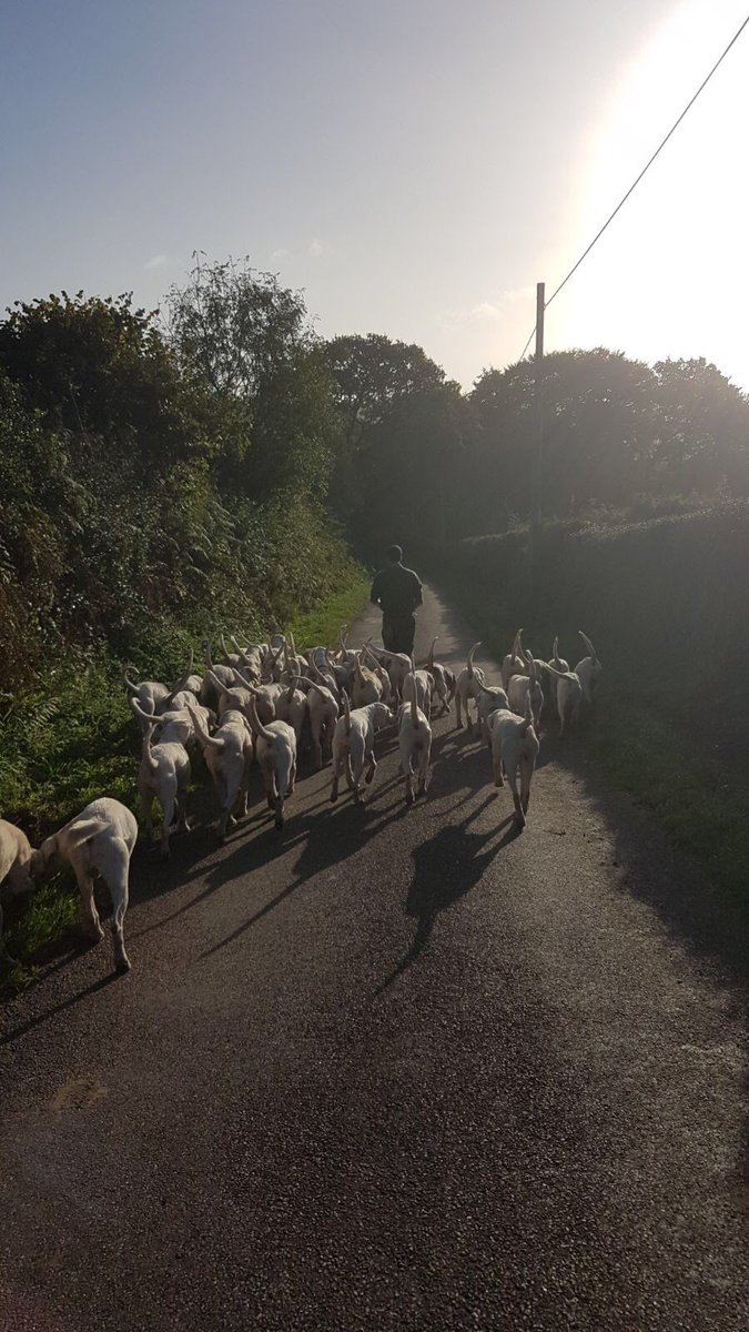 spunk75's tweet image. 