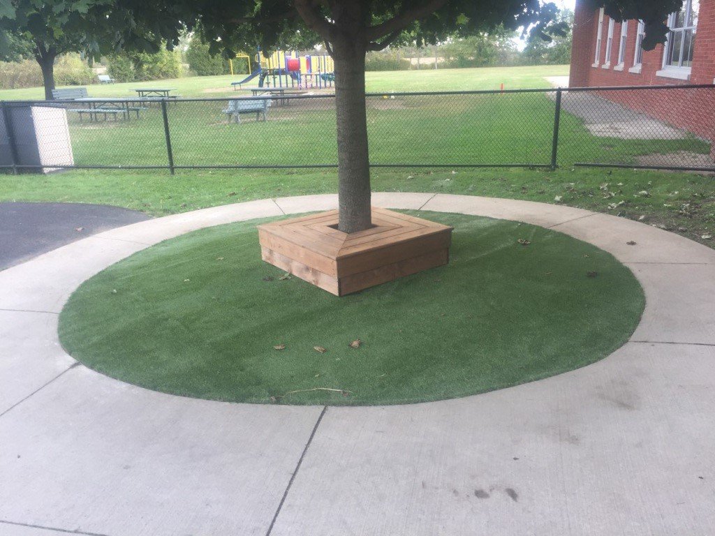 Tree Bench