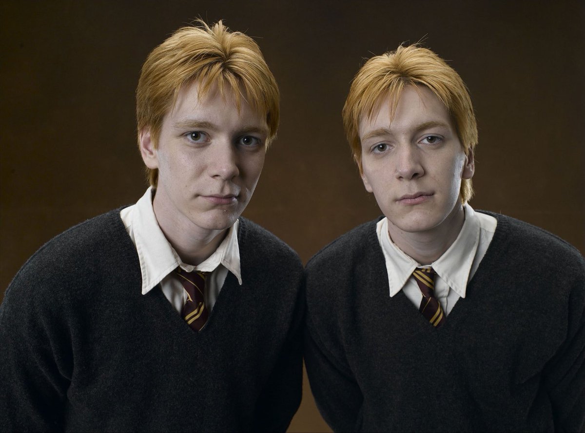 Se вυѕcα α: Fred y George Weasley. 