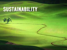 Juuty's tweet photo. Celebrate 10/10/17 Sustainability Day with us! Order a Juuty bag tomorrow and get 25% discount by using following discount code 10/10 https://t.co/BFHQCf6CxZ