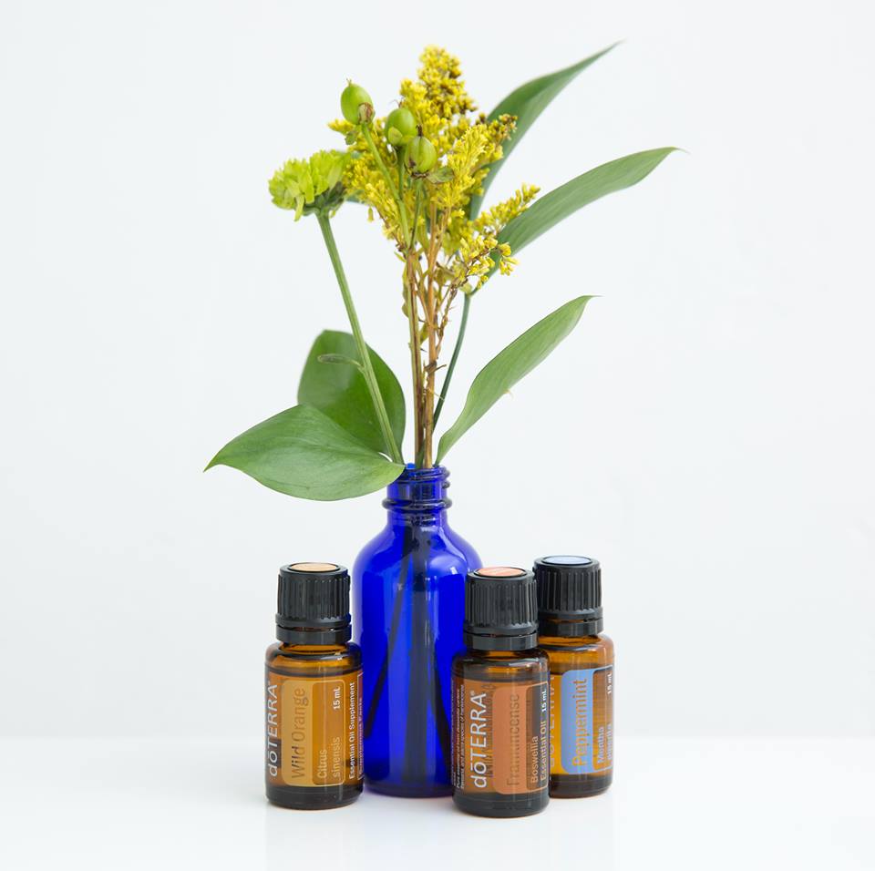 davbross's tweet photo. Wild Orange, Frankincense, and Peppermint combine to make an invigorating aroma. Perfect. #quitsmoking #ifinallyquit Questions or comments? https://t.co/5rWZbdSAa6