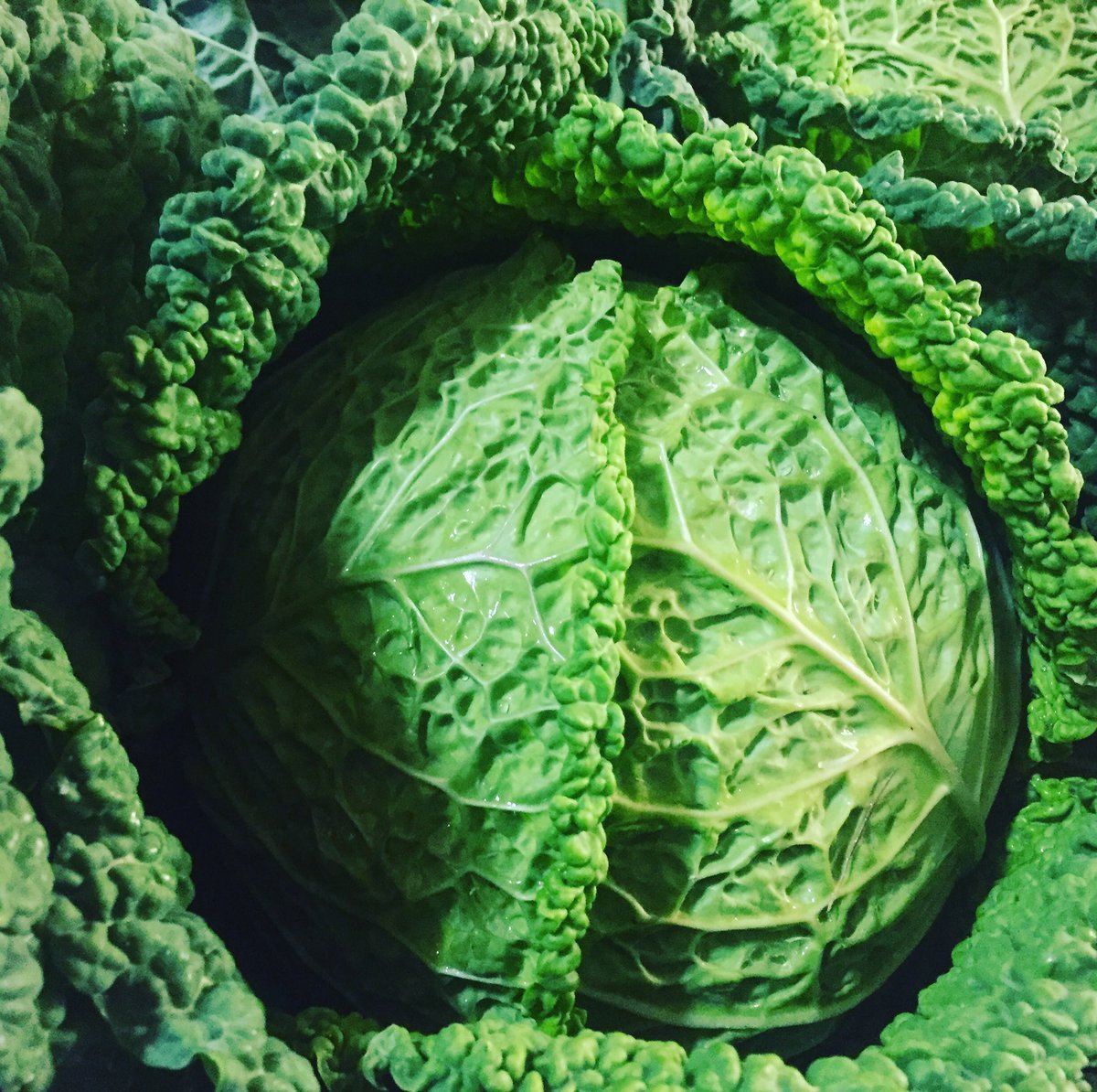 LPdeProvence's tweet photo. Le chou frisé fait partie du « top ten » des aliments-santé. Il est utilisé dans les programmes minceur
https://t.co/MFpa7pC0yw https://t.co/cin9kymNOY