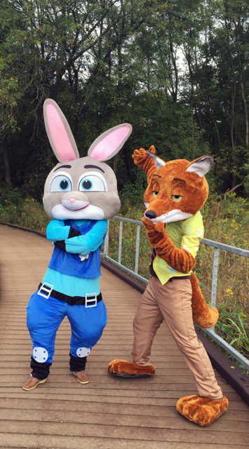 Friends of MCS tweet media