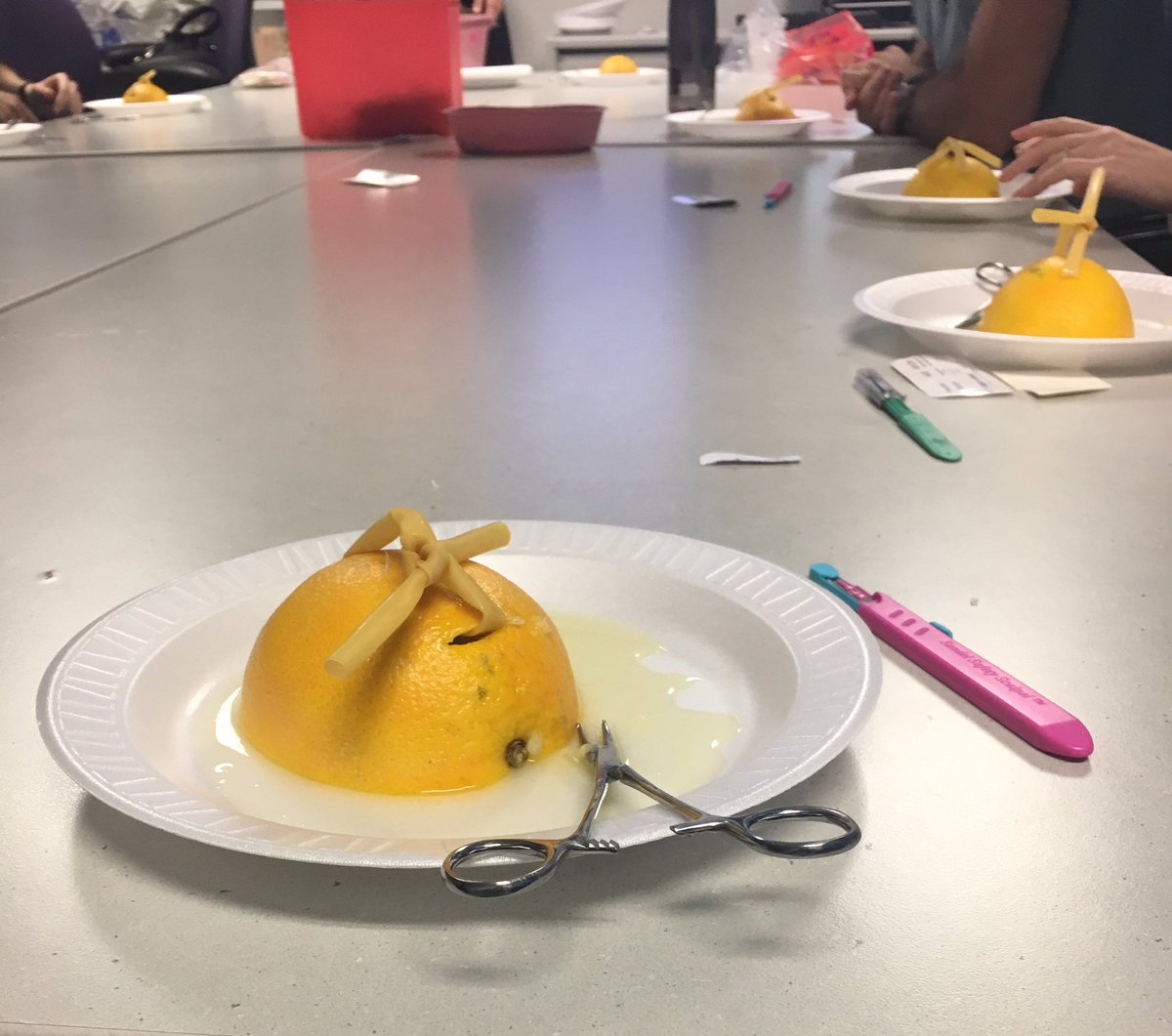 EvanStrobelt's tweet photo. I&amp;D simulation with oranges! If only real abscesses smelled this good https://t.co/C7cFw1i43h