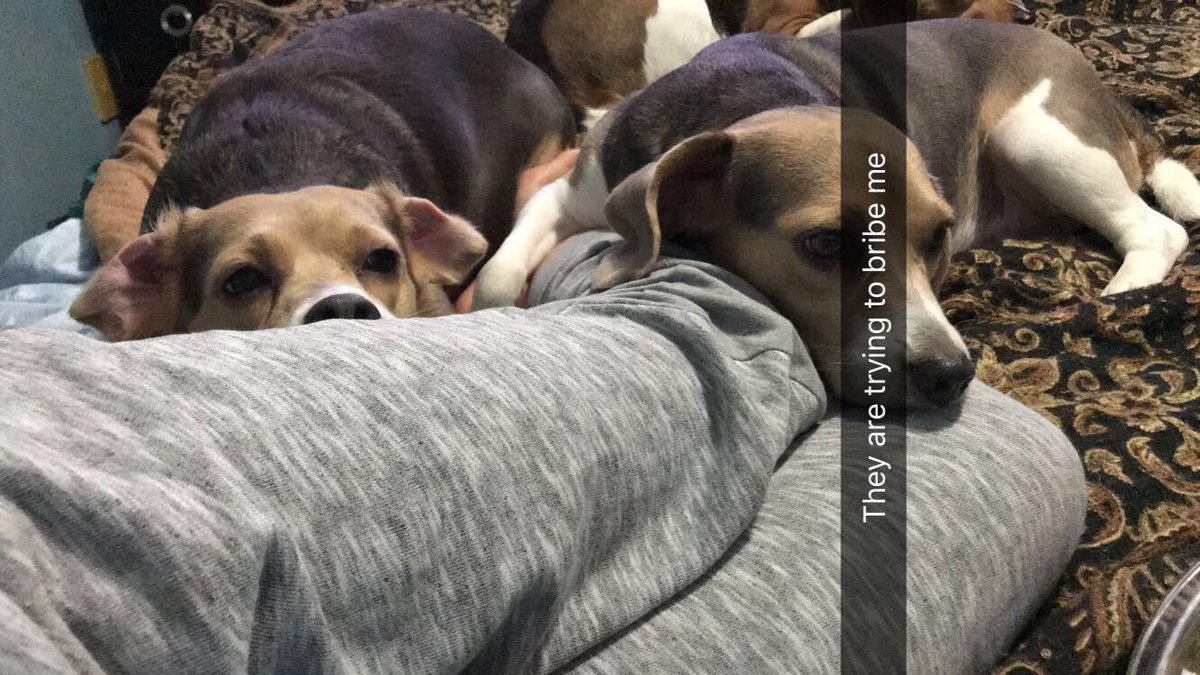 isabellarobrom's tweet photo. Sometimes you just have to praise you’re best friend https://t.co/idcGb9RqCE