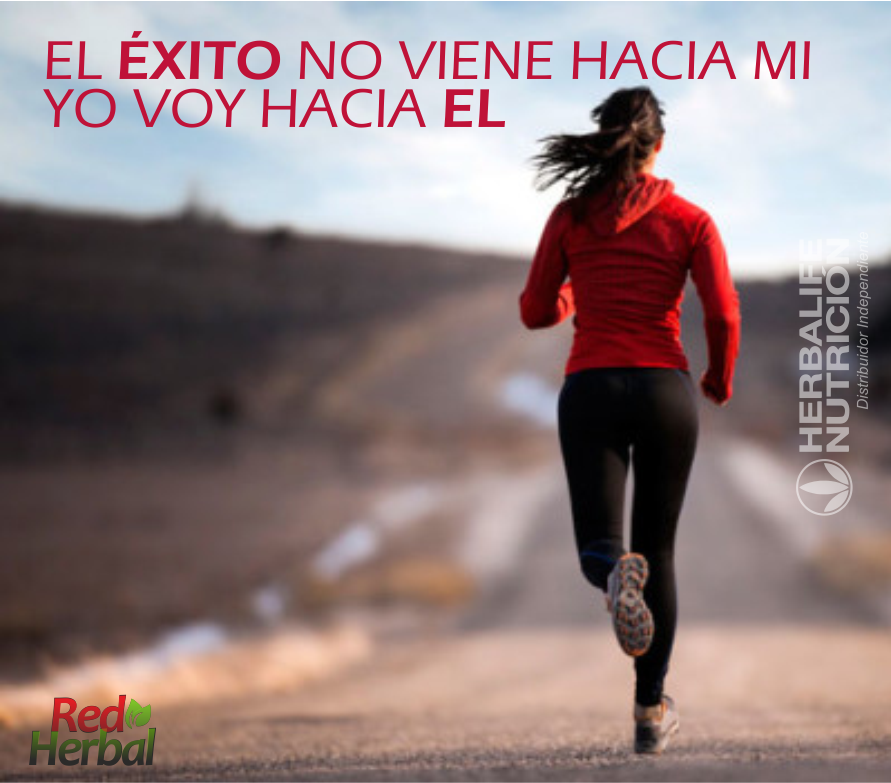 MonicaMoraHbl's tweet photo. El #exito no viene hacia mi, yo voy hacia él...#felizlunes #motivacion #salud #nutricion #Bienestar #estilodevidasaludable #RedHerbal https://t.co/jk4irwQDwD